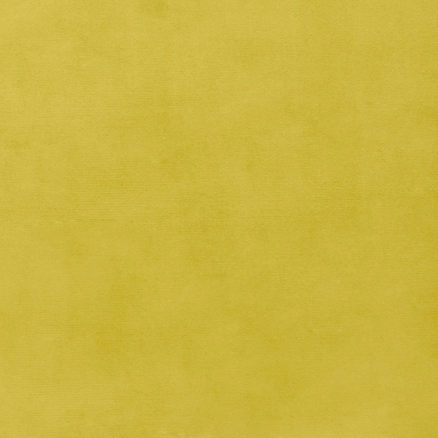 Bella Rosa Plain Velvet 140cm Honey