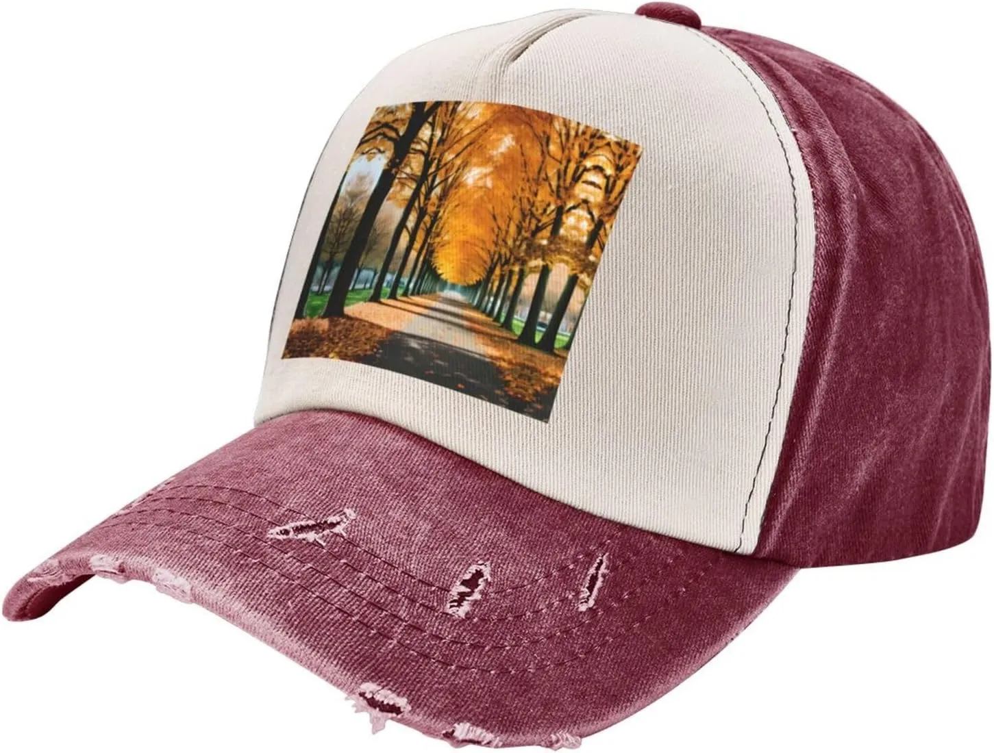 Bright Cabbage Unisex Adjustable and Breathable Sporty Denim Hat,Stylish Baseball Cap for Outdoor Activities