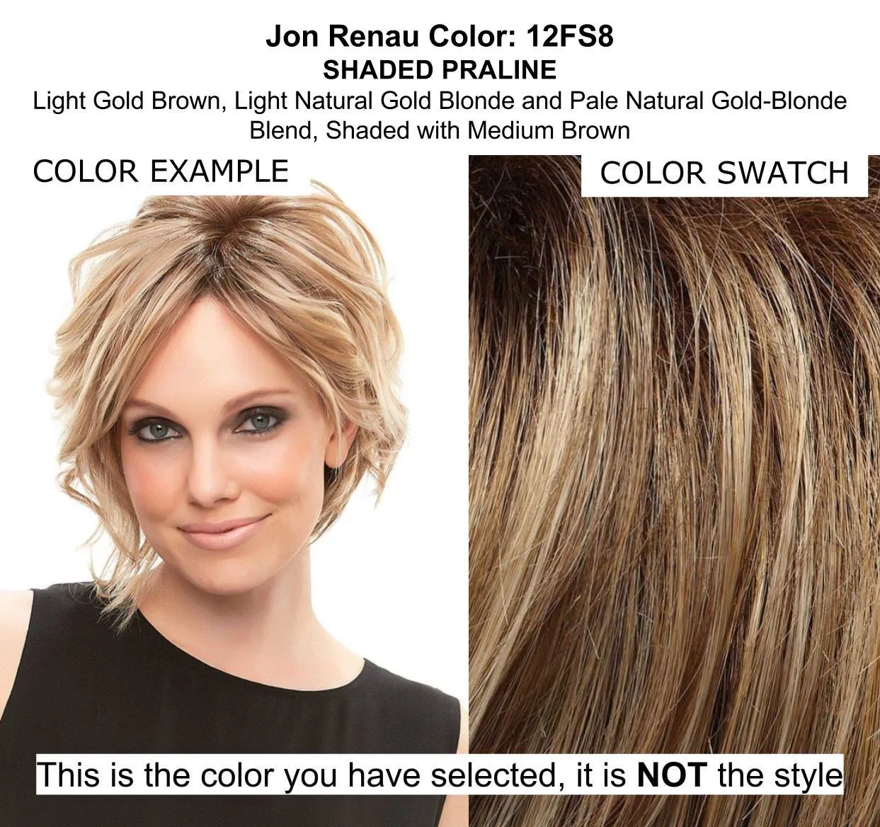 BUNDLE - 5 Items: Ignite AVERAGE SIZE Heat Friendly Synthetic Wig by Jon Renau, Christy's Wigs Q & A Booklet, HD Smooth Detangler, Synthetic Shampoo & Wide Tooth Comb - Color: 12FS8