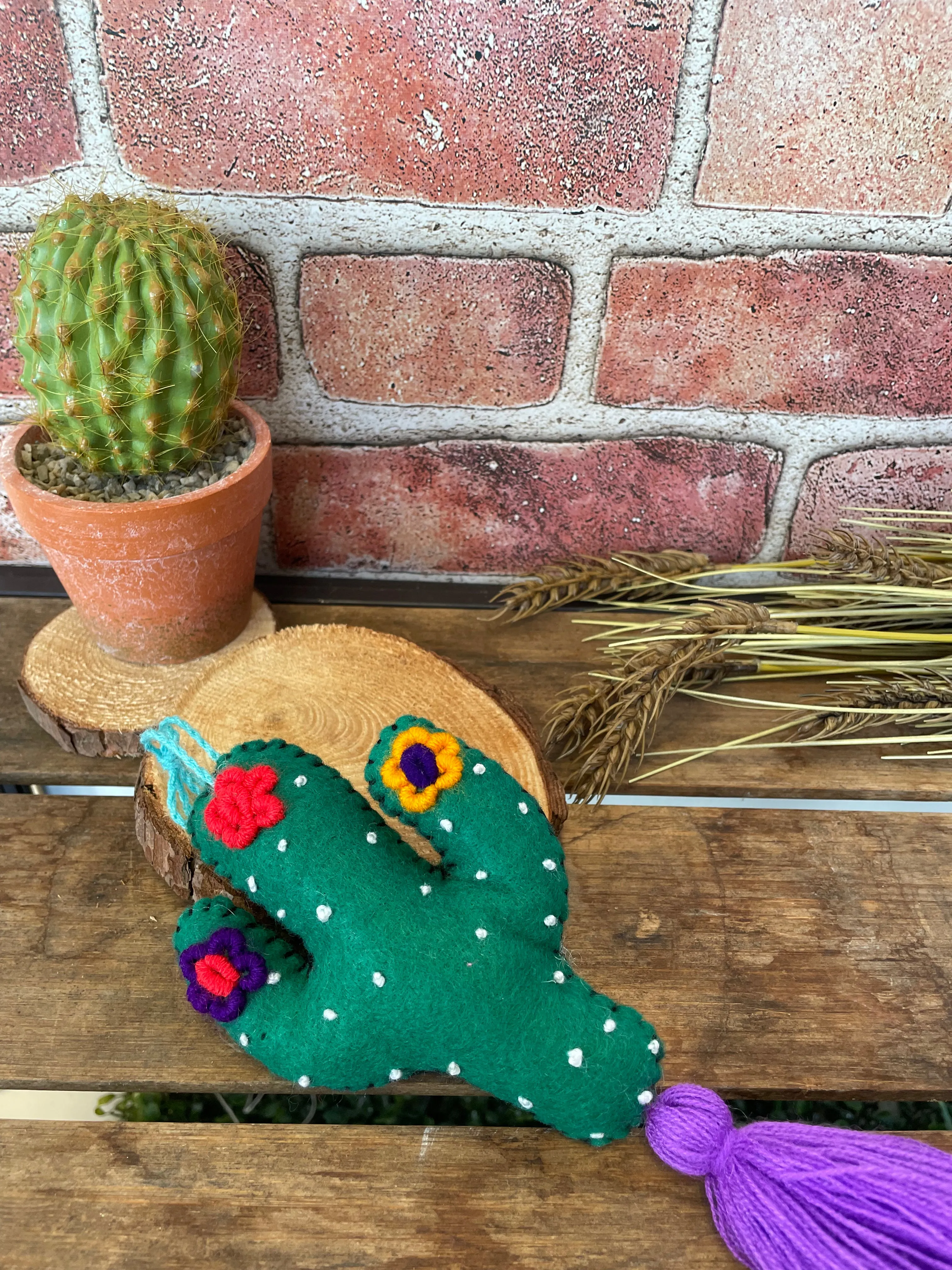 Embroidered Cactus Pompom