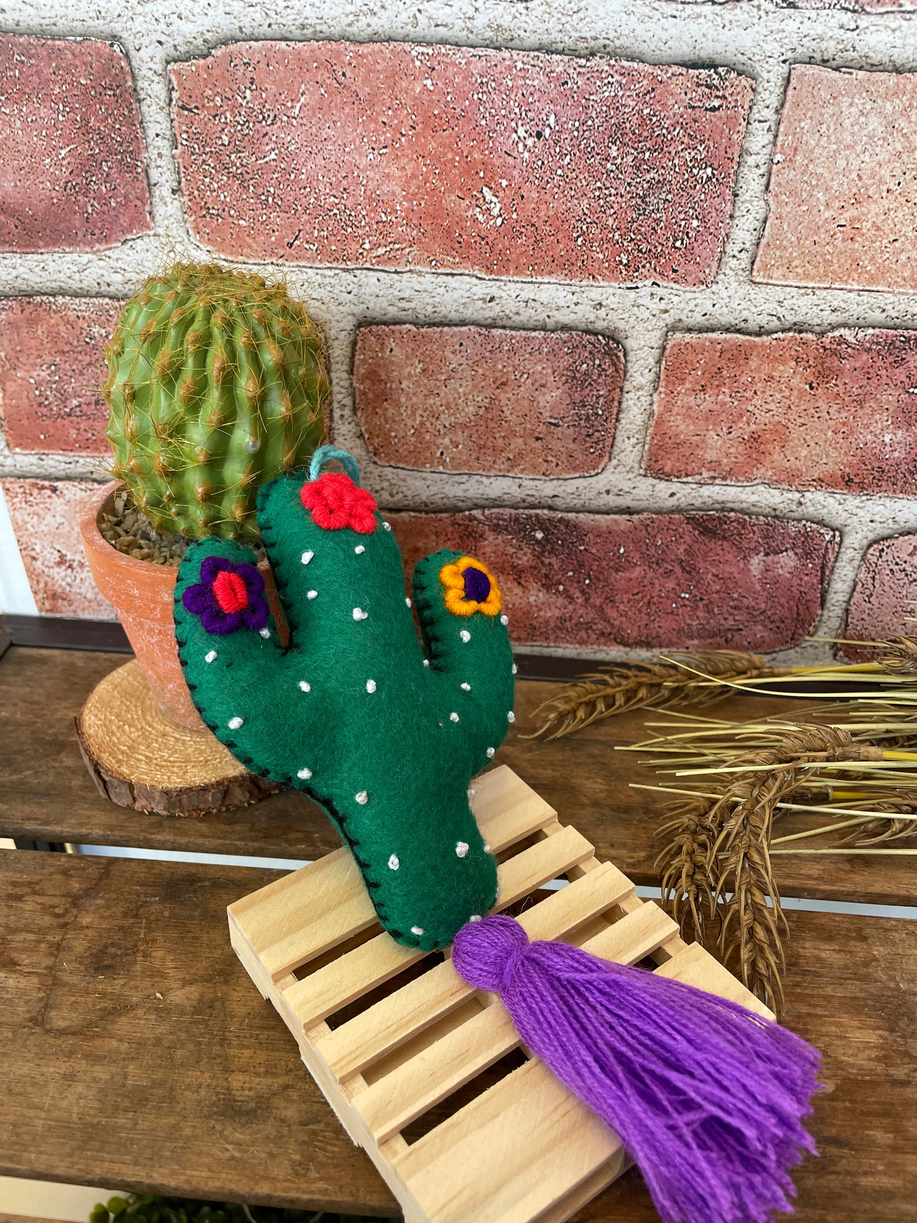 Embroidered Cactus Pompom