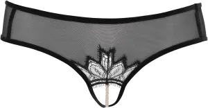Kyoto Brief