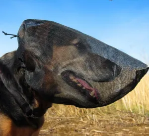 OutFox Field Guard - Vet-Recommended Dog Safety Mask for Foxtails, Grass Seeds, Bugs and Debris | Breathable, Lightweight, Patented Design | Multiple Sizes