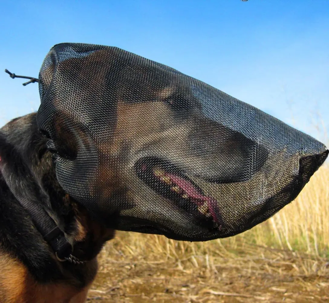 OutFox Field Guard - Vet-Recommended Dog Safety Mask for Foxtails, Grass Seeds, Bugs and Debris | Breathable, Lightweight, Patented Design | Multiple Sizes