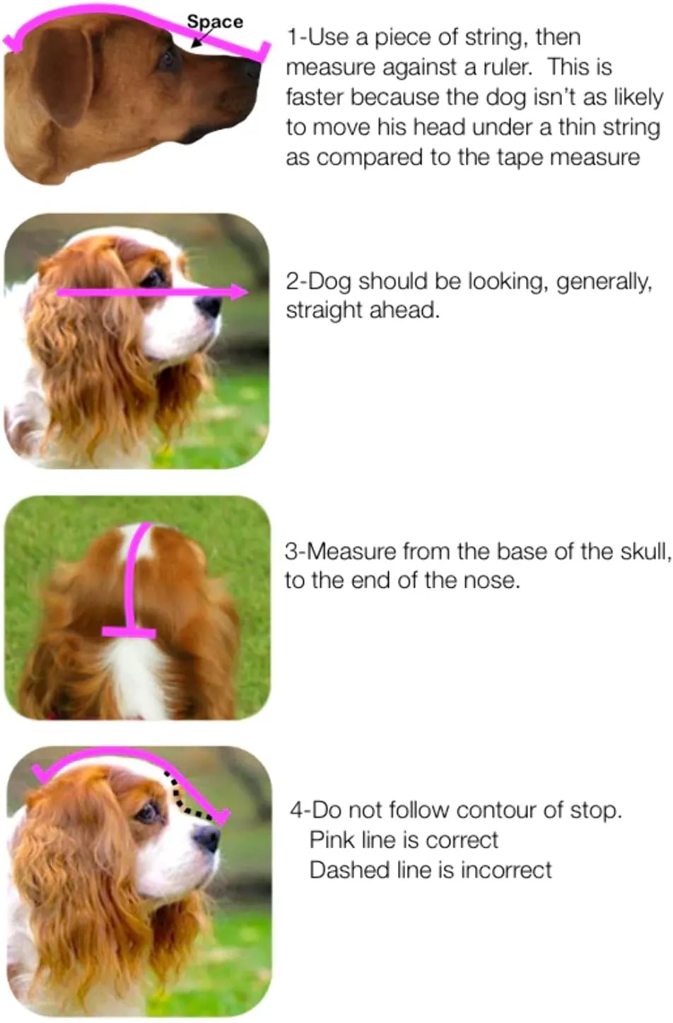 OutFox Field Guard - Vet-Recommended Dog Safety Mask for Foxtails, Grass Seeds, Bugs and Debris | Breathable, Lightweight, Patented Design | Multiple Sizes