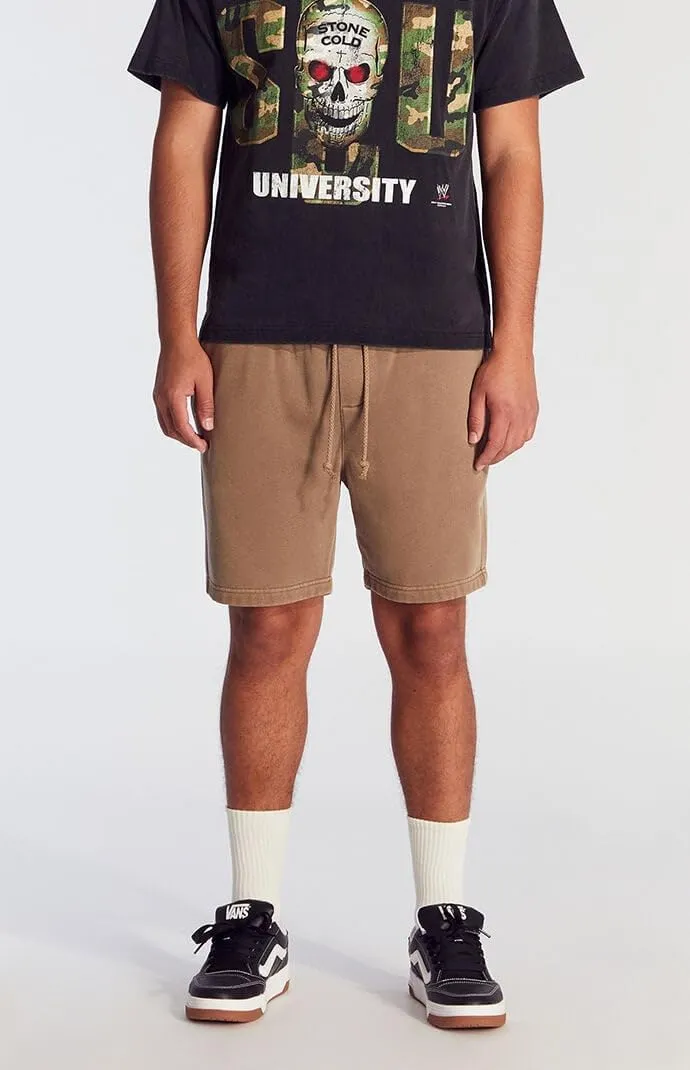 PacSun Men's Brown Vintage Wash Fleece Volley Shorts