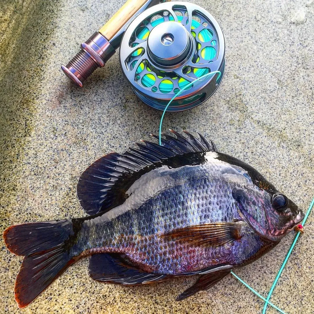 Piscifun Sword Fly Fishing Reel, CNC-Machined Aluminum Alloy Fly Reel, 3/4, 5/6, 7/8, 9/10 Weight, Black, Gunmetal, Space Gray
