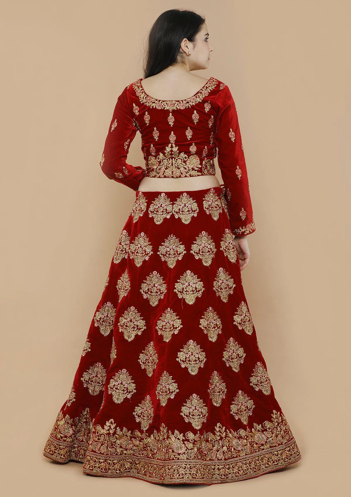 Royal Red Zariwork Velvet Semi Stitched Lehenga
