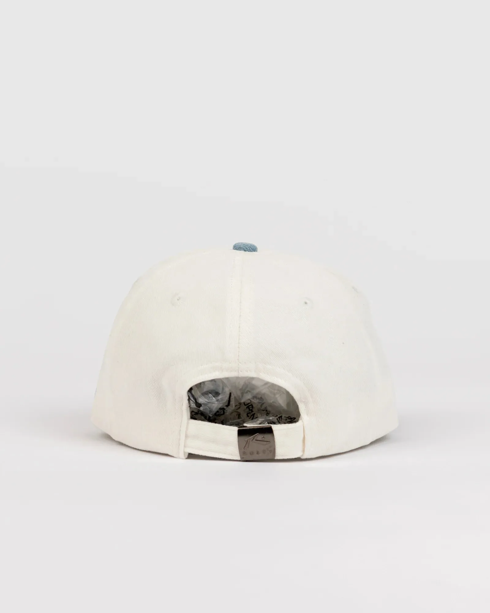 RUSTY Artic Two-Tone Dad Cap