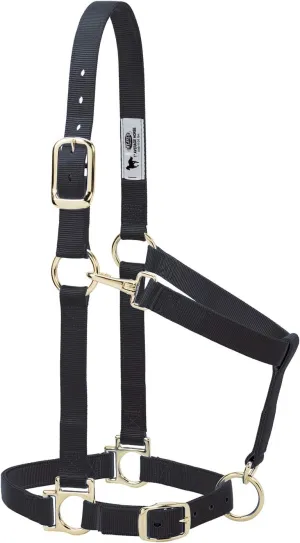 Weaver Leather Basic Adjustable Nylon Halter, Black, 1" Small Horse