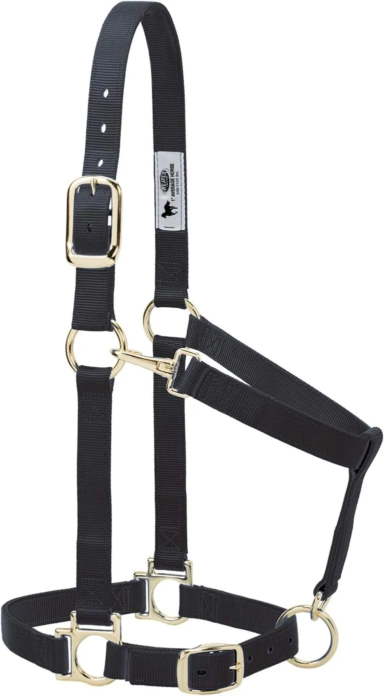 Weaver Leather Basic Adjustable Nylon Halter, Black, 1" Small Horse